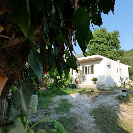 Tropikal Freskia Bunec Σαράντα Εξωτερικό φωτογραφία