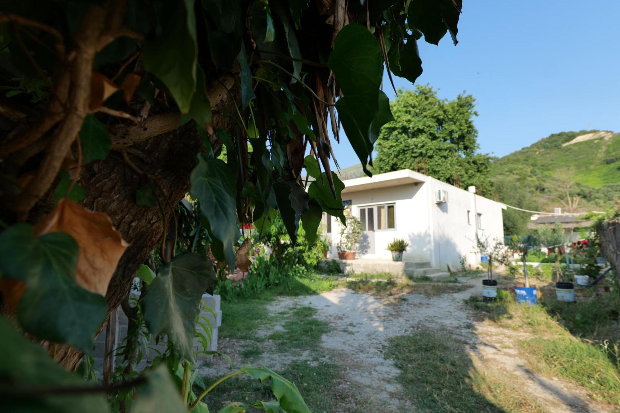 Tropikal Freskia Bunec Σαράντα Εξωτερικό φωτογραφία